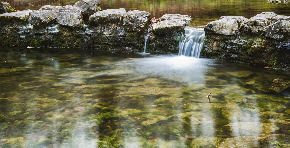 The Complete Guide <br /> For Clear Pond Water - Pond Management Experts